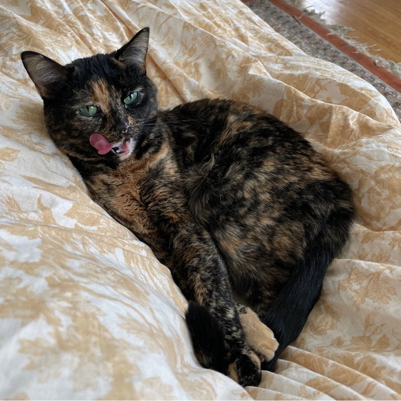 🌻 Hi I'm Jordan 🍄 - Picture 1 of 3